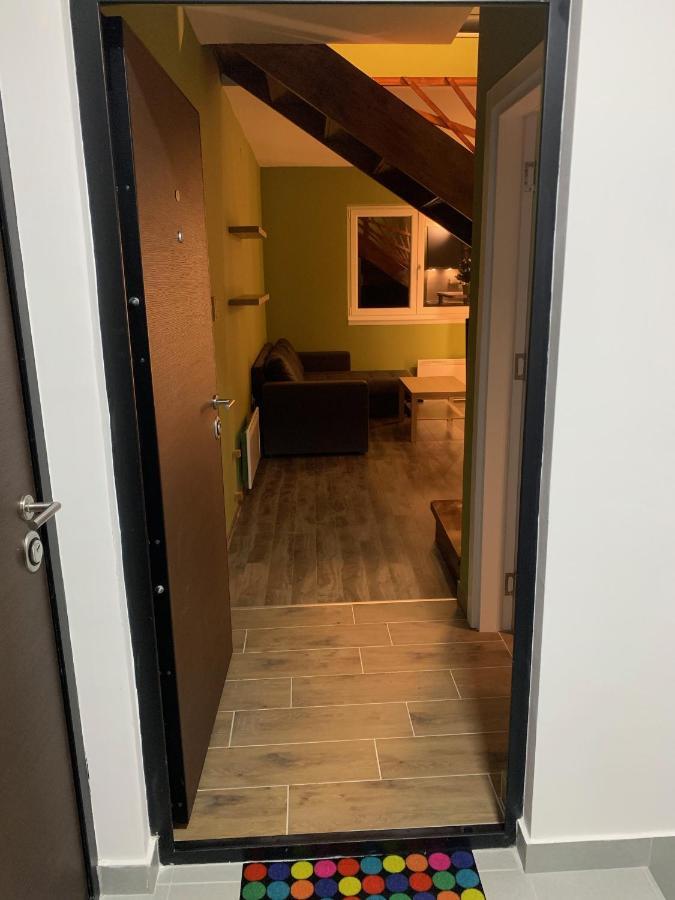 G&D Apartment 科帕奥尼克 外观 照片
